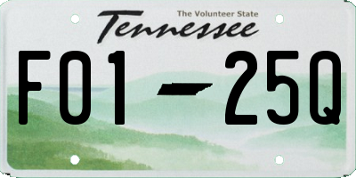 TN license plate F0125Q