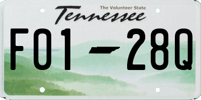 TN license plate F0128Q