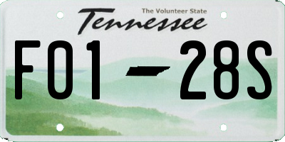 TN license plate F0128S