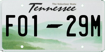 TN license plate F0129M
