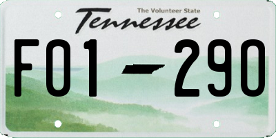 TN license plate F0129O