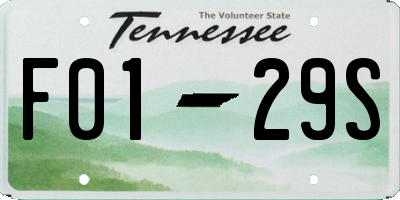 TN license plate F0129S