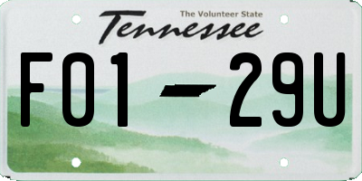 TN license plate F0129U