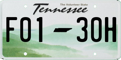 TN license plate F0130H