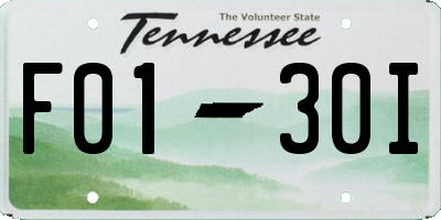 TN license plate F0130I