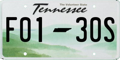 TN license plate F0130S