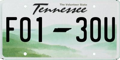 TN license plate F0130U