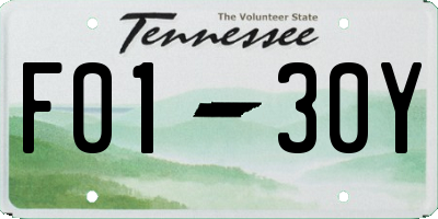 TN license plate F0130Y