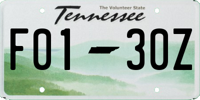 TN license plate F0130Z