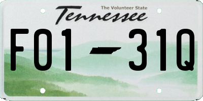 TN license plate F0131Q