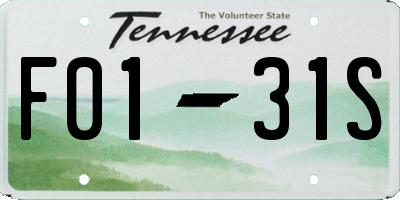 TN license plate F0131S