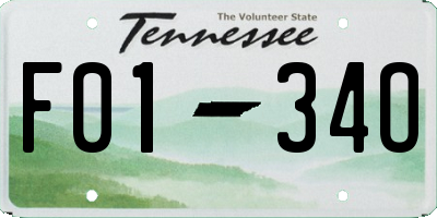 TN license plate F0134O