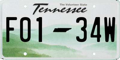 TN license plate F0134W