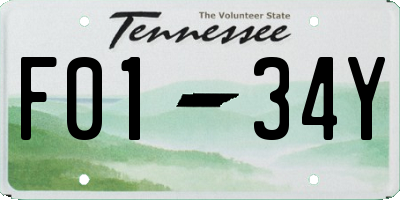 TN license plate F0134Y