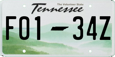 TN license plate F0134Z