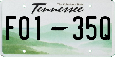 TN license plate F0135Q
