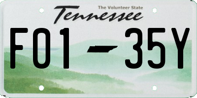 TN license plate F0135Y