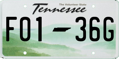 TN license plate F0136G