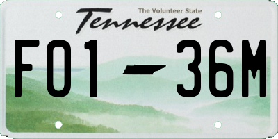 TN license plate F0136M