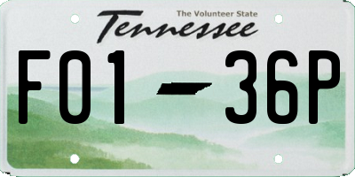 TN license plate F0136P
