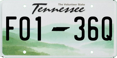 TN license plate F0136Q