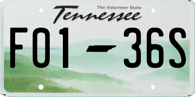 TN license plate F0136S