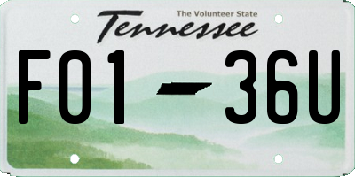 TN license plate F0136U