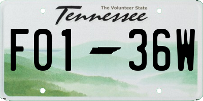 TN license plate F0136W