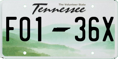 TN license plate F0136X