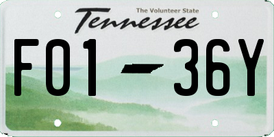 TN license plate F0136Y
