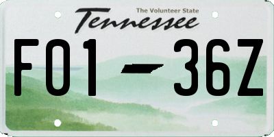 TN license plate F0136Z
