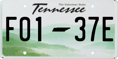 TN license plate F0137E