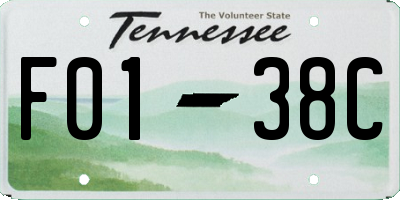 TN license plate F0138C