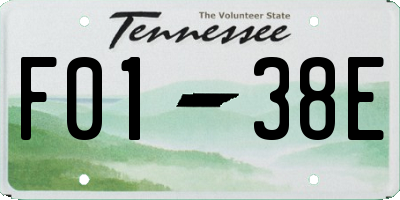 TN license plate F0138E