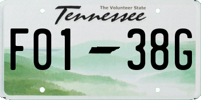 TN license plate F0138G