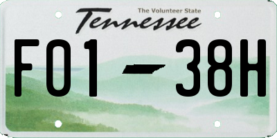 TN license plate F0138H