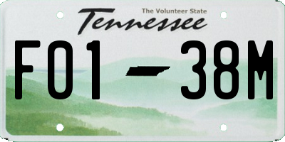 TN license plate F0138M