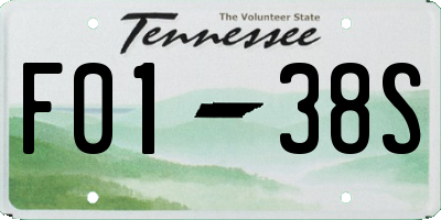 TN license plate F0138S