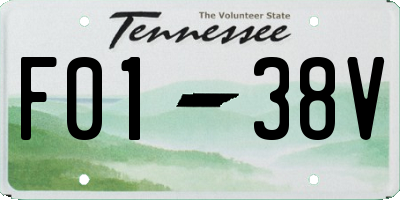 TN license plate F0138V