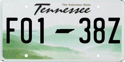 TN license plate F0138Z