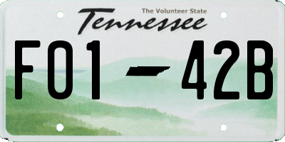 TN license plate F0142B