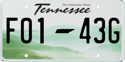 TN license plate F0143G