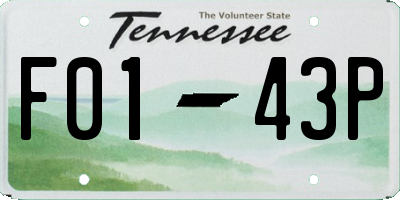 TN license plate F0143P