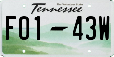TN license plate F0143W