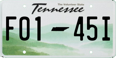 TN license plate F0145I