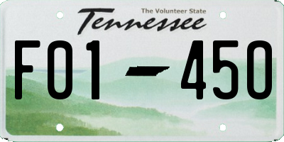 TN license plate F0145O