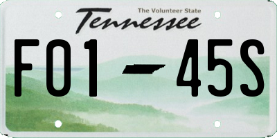 TN license plate F0145S