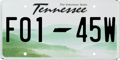 TN license plate F0145W