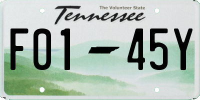 TN license plate F0145Y