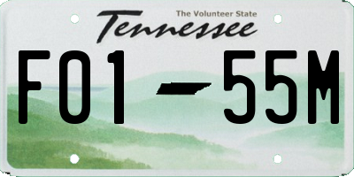 TN license plate F0155M